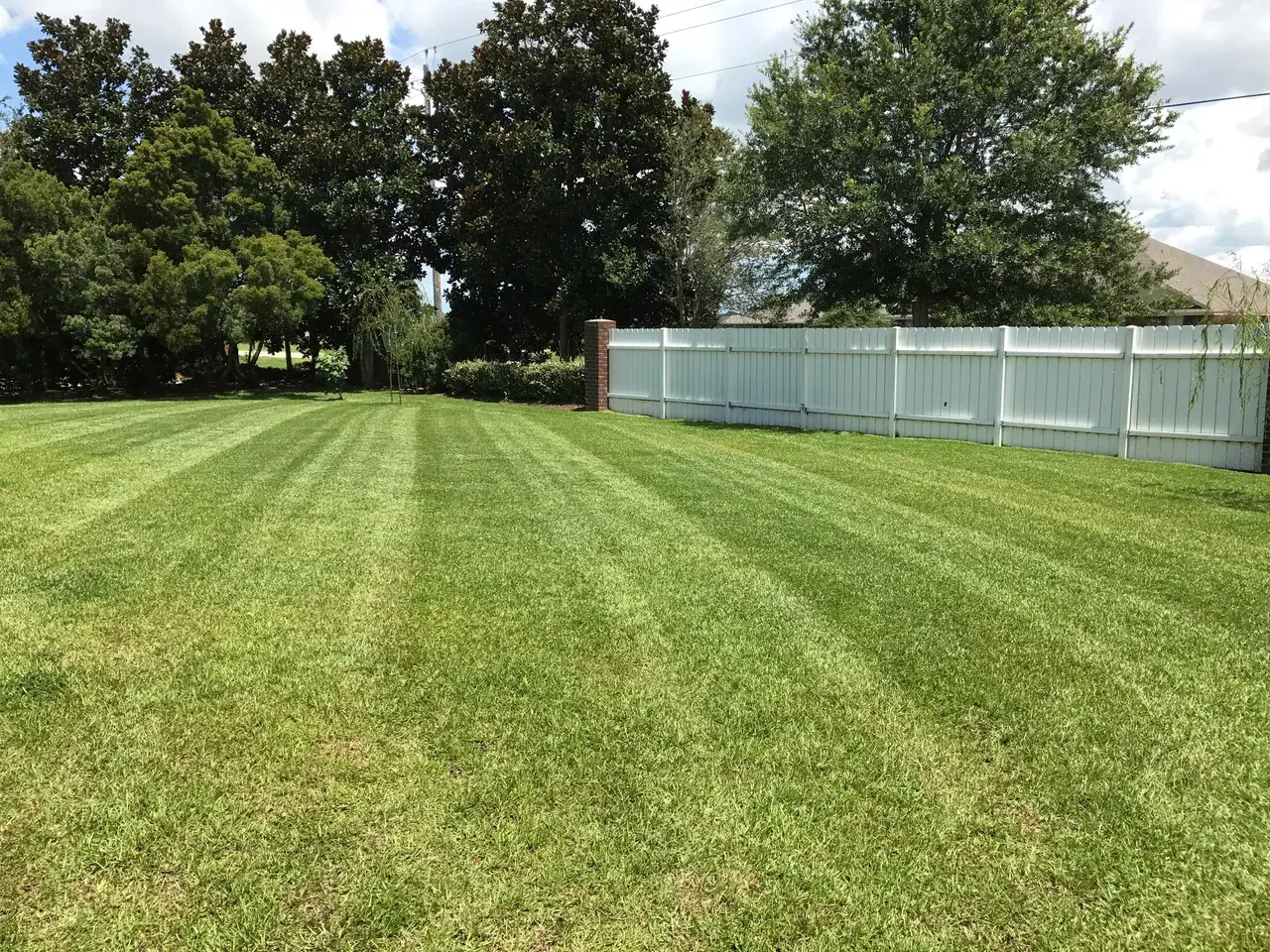 5 Tips for Preparing Your Lawn for Summer in Alabama