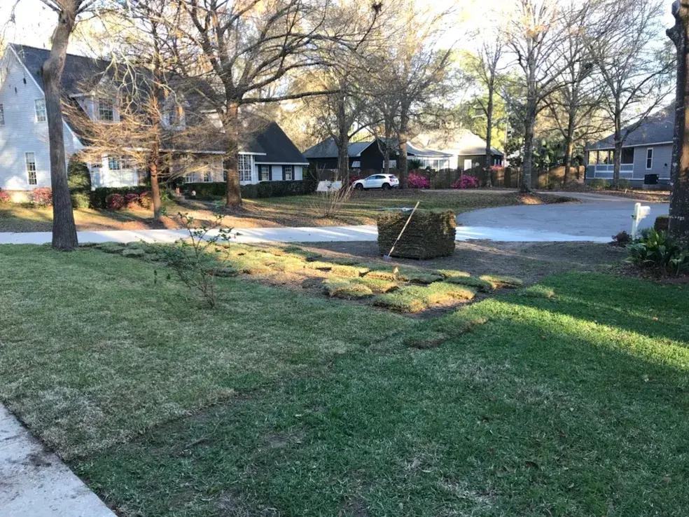 The Need for Sod Replacement in Foley AL