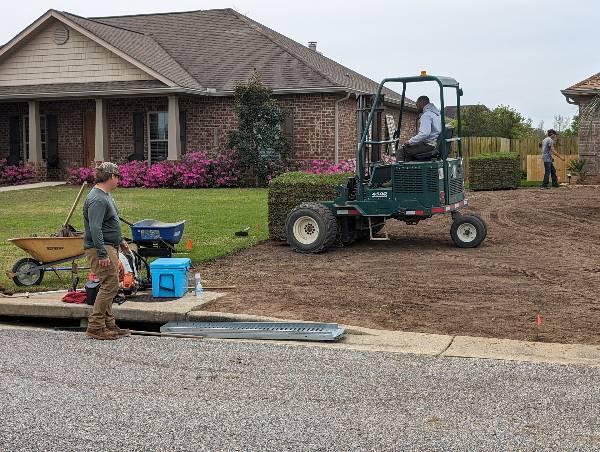 How to Choose the Right Grass for the Gulf Coast