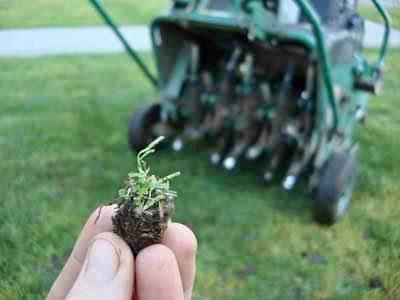 The Benefits of Core Aeration for Southern Lawns